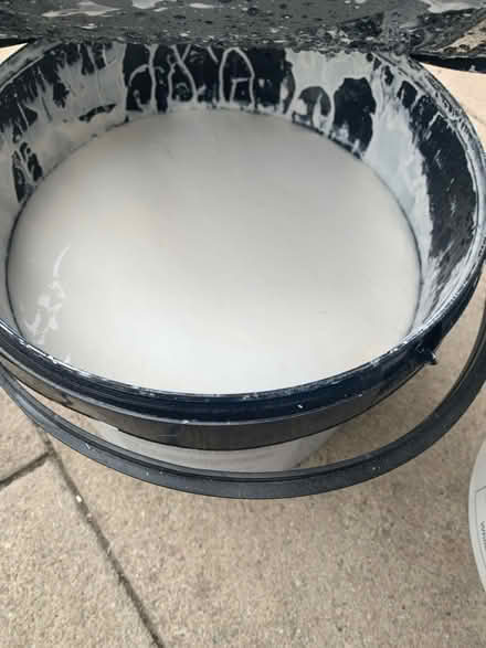 Photo of free White paint (Catford) #2