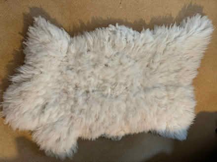 Photo of free 2x sheepskin rugs and brush (Batford AL5) #3