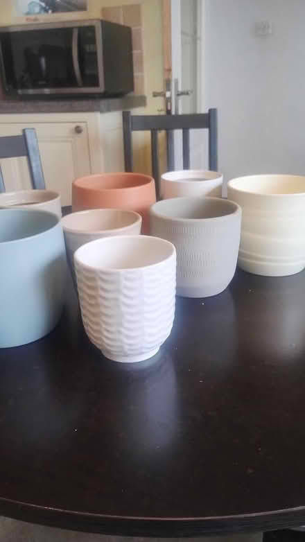Photo of free Planters for house plants (Bexley DA5) #1