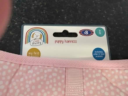 Photo of free Small puppy harness (Hailsham BN27) #1