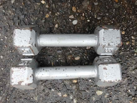 Photo of free 5 Pound Weights (Interbay/Queen Anne) #1