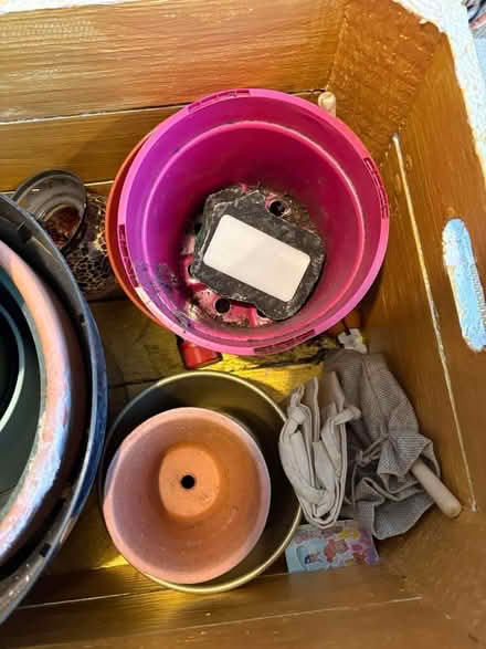 Photo of free plant pots, watering can and soil (pollokshaws) #2
