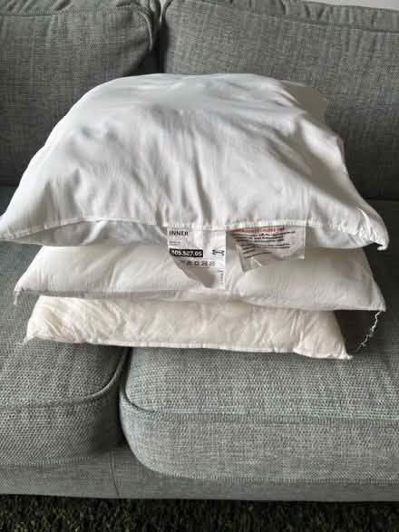 Photo of free Cushion inners 50x50cm (RG23 Oakley) #1