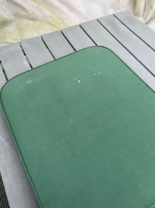 Photo of free Steamer chair cushion (Windsor SL4) #3