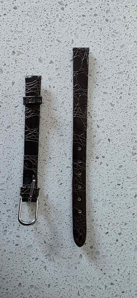 Photo of free Brand new watch strap (Broadwater BN14) #1