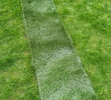 Photo of free Artificial grass off cut (Churchdown) #1