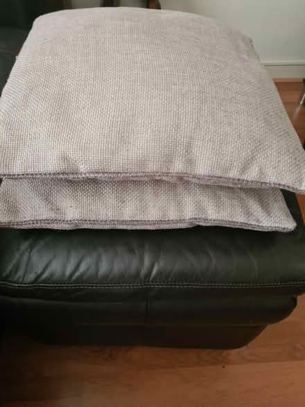 Photo of free Cushions (melksham SN12) #1