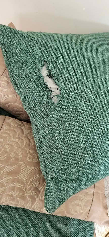 Photo of free Cushions (Warlingham CR6) #3