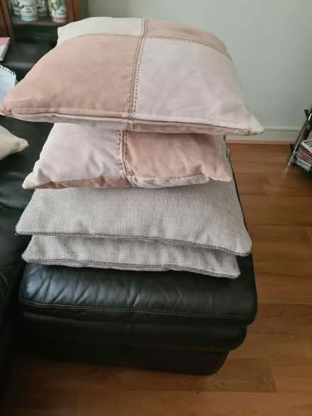 Photo of free Cushions (melksham SN12) #4