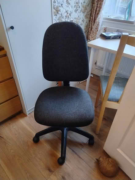 Photo of free Office chair (Botley) #1