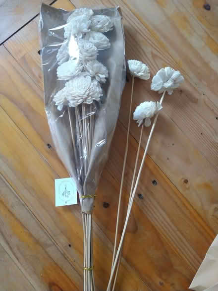 Photo of free Dried white flowers (Malvern Vale WR14) #1