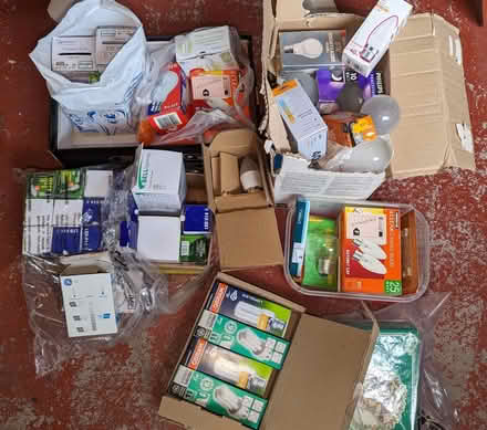 Photo of free Electric Light Bulbs (Malvern Link Top WR14) #1