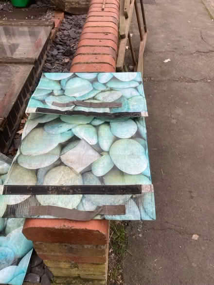 Photo of free Tomato grow bag cover (SY1 Castlefields) #2