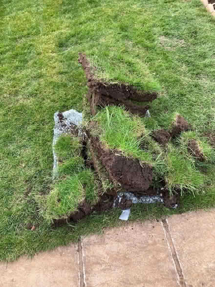 Photo of free 8 pieces turf (Lyppard Grange WR4) #1