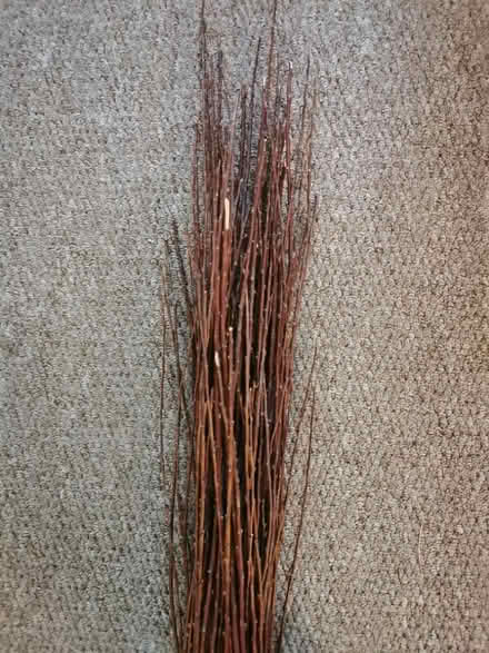 Photo of free Willow sticks (Eastbourne) #2