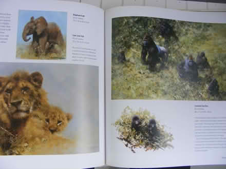 Photo of free Painting with David Shepherd hardback book (Carbis Bay TR26) #3
