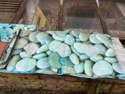 Photo of free Tomato grow bag cover (SY1 Castlefields) #1