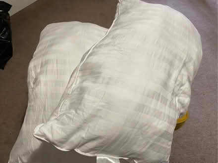 Photo of free Pillows x 2 (Marshalswick AL4) #1