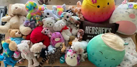 Photo of free Assorted Stuffed Animals (S. Leesburg near Banshee Reeks) #4