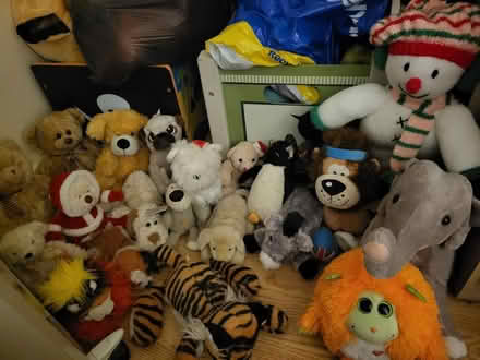 Photo of free Teddy bundle (Dawsons Corner LS28) #1