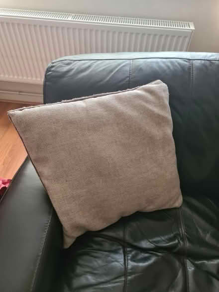 Photo of free Cushions (melksham SN12) #3