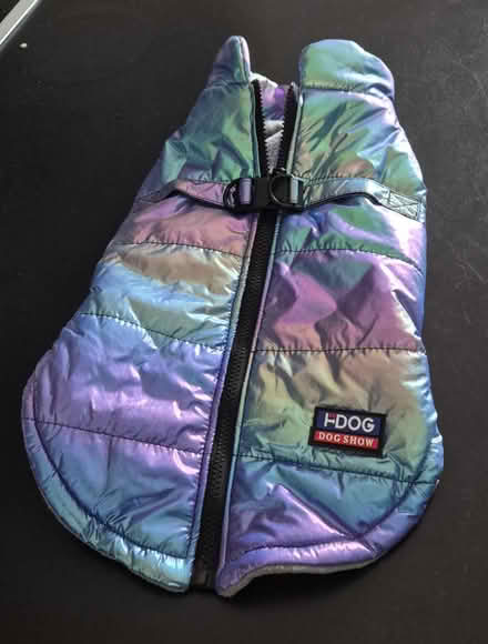 Photo of free Padded dog coat for small dog (Weston-super-Mare) #1