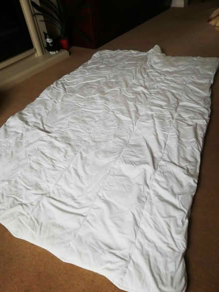 Photo of free Single duvet 8.5 tog (Bradway S17) #1
