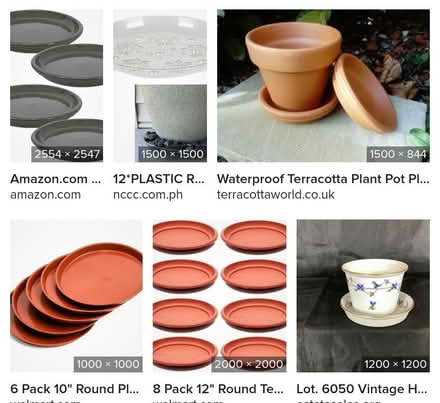 Photo of Under plates for flower pots (Kemptown BN2) #1
