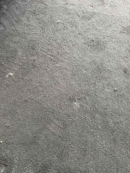 Photo of free Carpet grey saxony large (DA7 Bexleyheath) #3