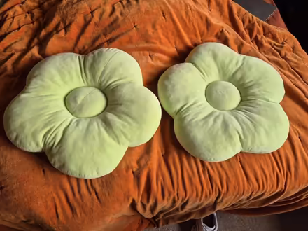 Photo of free 2 x Green & Yellow Flower Cushions (Clerwood EH12) #2