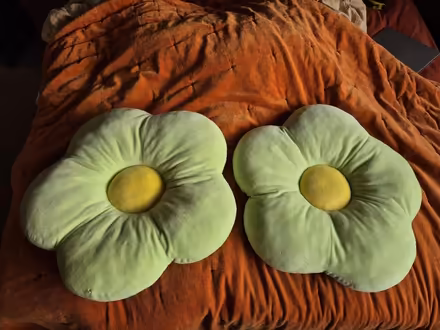 Photo of free 2 x Green & Yellow Flower Cushions (Clerwood EH12) #1