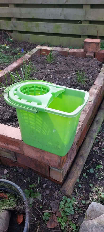 Photo of free Green mop bucket (Oswestry SY11) #2