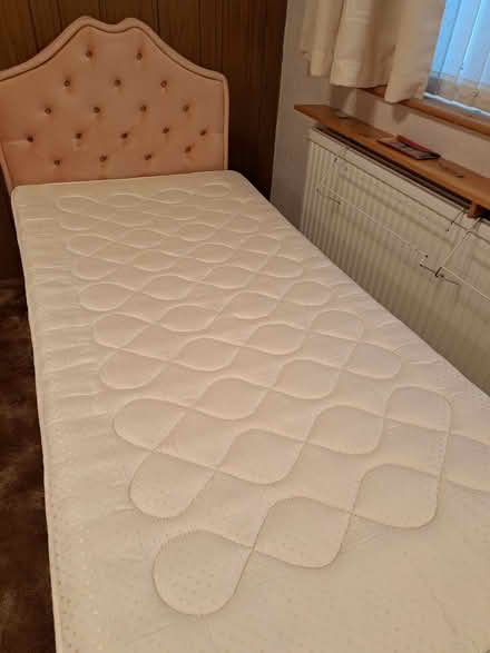 Photo of free Single bed (Witham CM8) #2