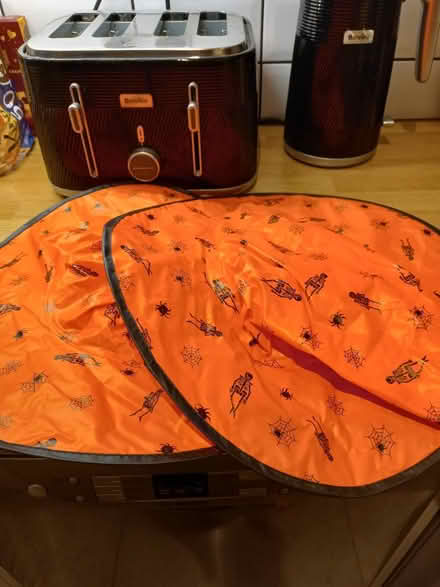 Photo of free Halloween stuff (Roundhill area brighton) #3