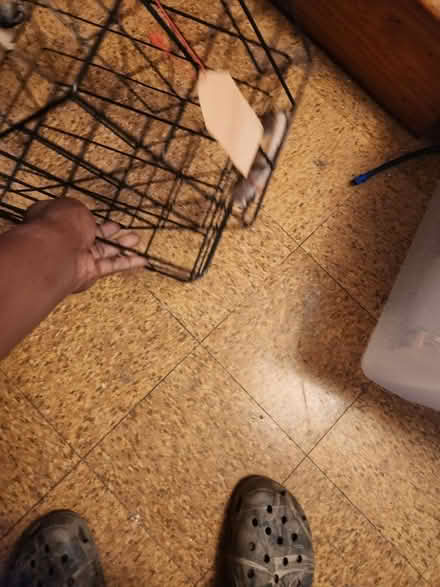 Photo of free Black metal baskets (Temple Hills,MD) #3