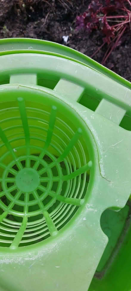Photo of free Green mop bucket (Oswestry SY11) #1