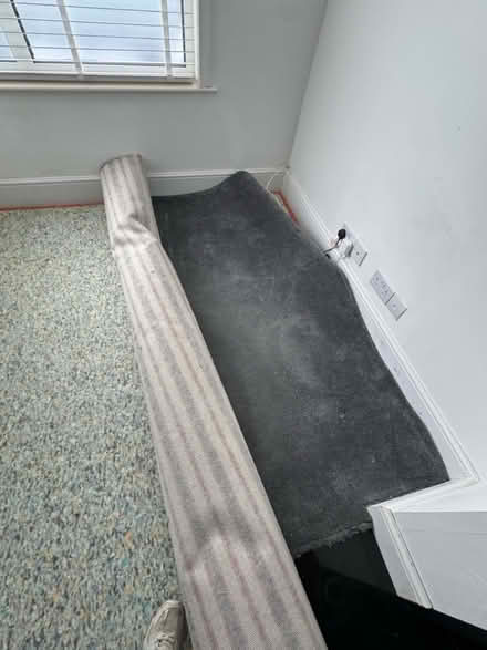 Photo of free Carpet grey saxony large (DA7 Bexleyheath) #1