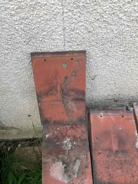 Photo of free Roof tiles ACME (SM4) #4