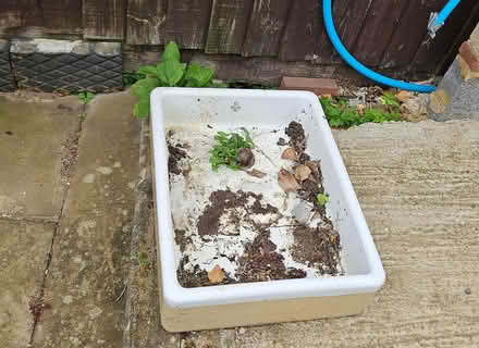 Photo of free Large sink, used as a planter (Ware SG12) #1