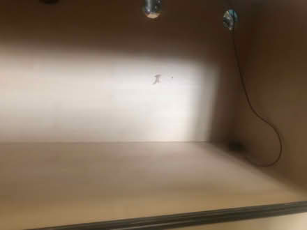 Photo of free Large Vivarium (BR3) #3