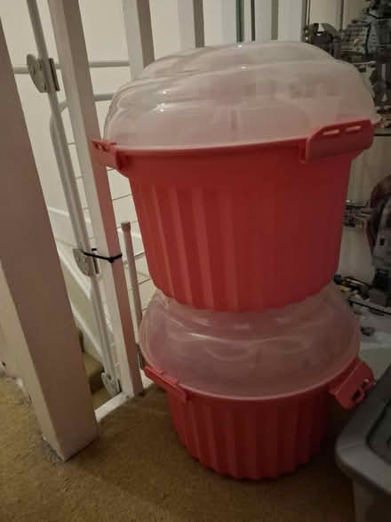 Photo of free Cupcake carriers x2 (TN24) #1