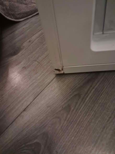 Photo of free Under counter zanussi freezer (Wirksworth DE4) #2