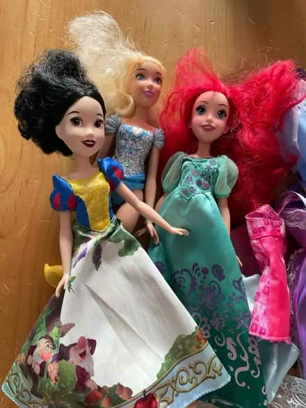 Photo of free Disney/Barbie dolls (Bowbridge) #1