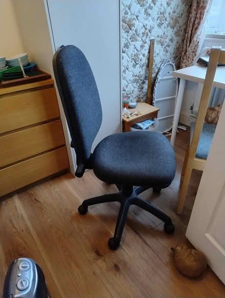 Photo of free Office chair (Botley) #2
