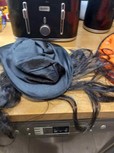 Photo of free Halloween stuff (Roundhill area brighton) #4