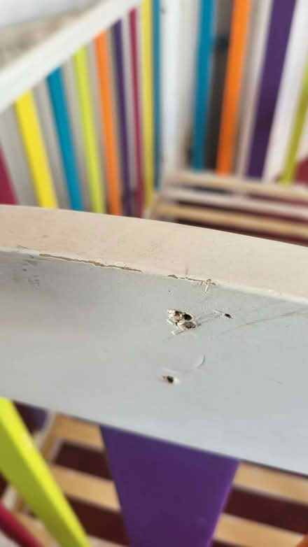 Photo of free Cot (Barry CF62) #4