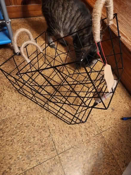 Photo of free Black metal baskets (Temple Hills,MD) #2