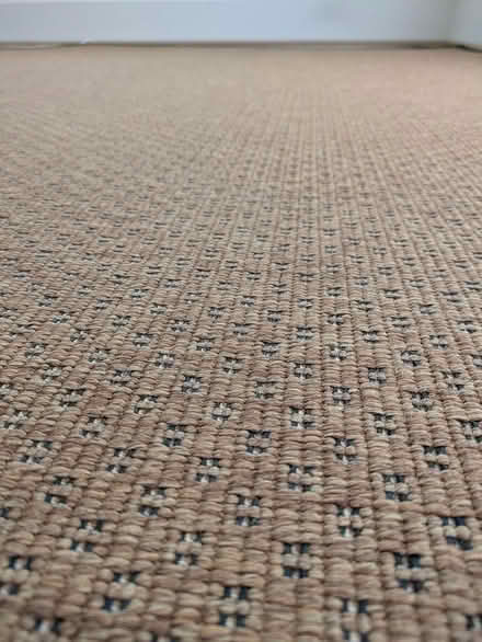 Photo of free Ethan Allen Rug (mountain view, ca) #4