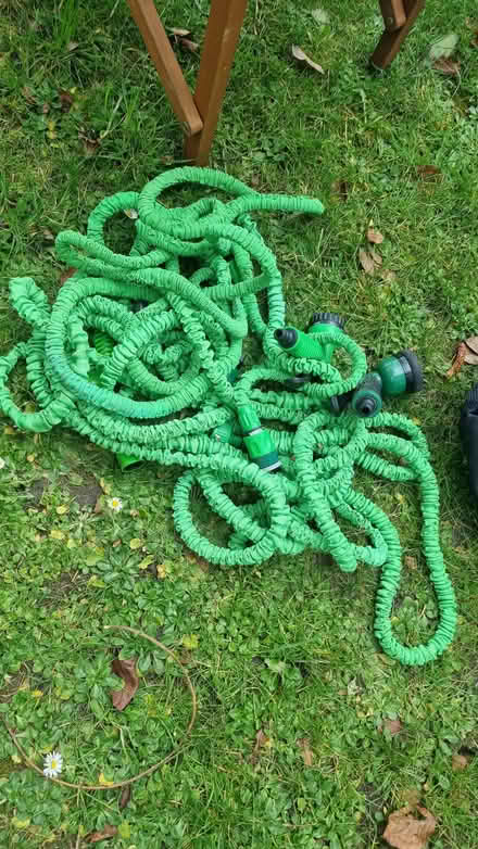 Photo of free Garden stuff / random (Lewes BN7) #2