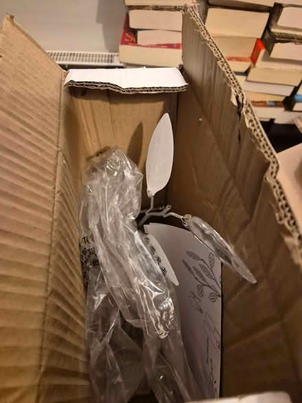 Photo of free Matching ceiling and wall lights (Withington M14) #1